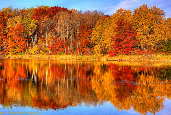 Сочинение Красавица Осень 4 Класс